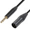 DG Systems - Cavo Jack Mono 6.3mm a XLR maschio - Made in Italy (0.50 mt)
