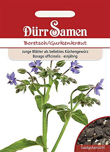 Dürr-Samen - 50 x Boretsch Gurkenkraut Saatgut für Küche, Balkon, Hochbeet & Gewächshaus - Gurkenkrautsamen zum Pflanzen für Kräutergarten - Boretsch-Kräuter-Samen Saat zum Einpflanzen