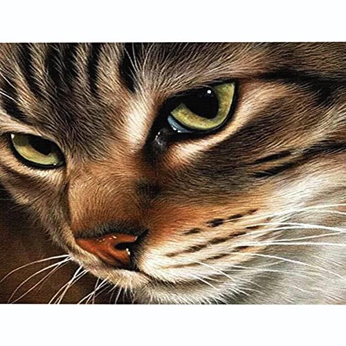 kreuzstich stickpackungen vorgedruckt bilder kinder erwachsene anfanger Katze Tier kreuzstich set diy 11ct Baumwolle Stoff Vorsortierte Garne SchlafzimmerInnendekoration (40×50cm)