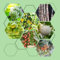 1540 pezzi set di semi di frutta balcone - semi di alberi piante semi di piante semi di frutta biologica, albero bonsai di ringraziamento piccolo tetto verde spalliera alberi da frutt