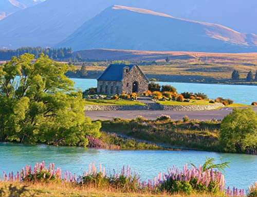 HANSEPUZZLE 23877 - Neuseeland Puzzle 1000 Teile | Reisen Puzzle mit hochwertiger Puzzle Aufbewahrung: Kartonbox und Wieder verschließbarem Beutel | Puzzle-Maße: 60 x 46 cm