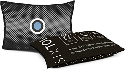 SIXTOL DRY CAR MINI kompakte Entfeuchtungskissen absorbiert unerwünschte Feuchtigkeit airdry Duo Auto-Entfeuchter, 1 x 150g