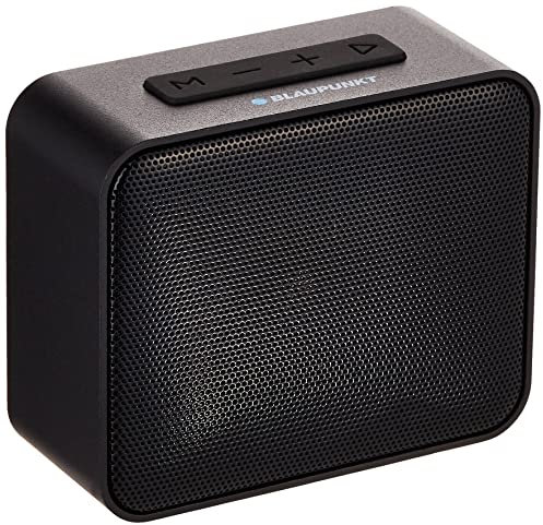 BLAUPUNKT BLP3140 Haut-Parleur Bluetooth 5 W avec Fente pour Carte mémoire Noir