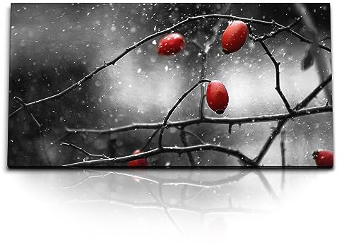 Paul Sinus Kunstdruck Bilder 120x60cm Wildrosen Gebüsch Rot Schwarz Weiß Fotokunst