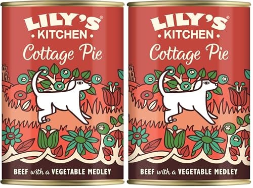 Lily's Kitchen Natural Adult Dog Food Wet Tins - Cottage Pie - Complete Meal Recipes (6 Tins x 400g) (Pack of 2)