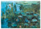 Briefpapier Set Monet, Seerosen