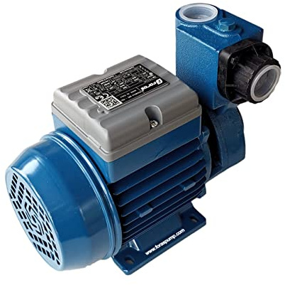FORAS PE100A Selbstansaugende Peripheralpumpe (0,74 kW, 1PS) | Max. 65m Förderhöhe & 50 L/min | 230V Hauswasserwerk-Pumpe | 100% Made in Italy by Pentax Industries