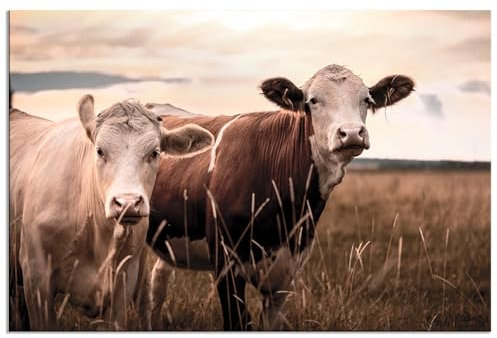 decomonkey - Tableau Acoustique Vache 120x80 1 Pièce - Impression sur Toile Décoration Maison Isolation Peinture Image Phonique Déco Bureau Panneaux Acoustiques