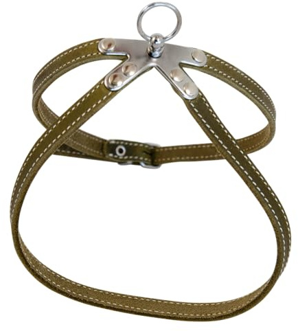 JACK AND VANILLA, Grünes Fettledergeschirr für Hunde, verstellbar, bequem, modernes Design, ideal für Spaziergänge, 10 x 50 cm, grüne Farbe, Ledermodell