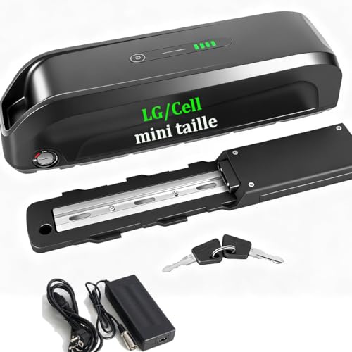 Batterie vélo électrique 48v 15Ah Ebike pour 250w 500w 750w 1000w Moteur | Batterie pour roue avant/arrière Moteur central (48V 15.6Ah /Mini Taille/Lg21700 Cell)(chargeur inclus)