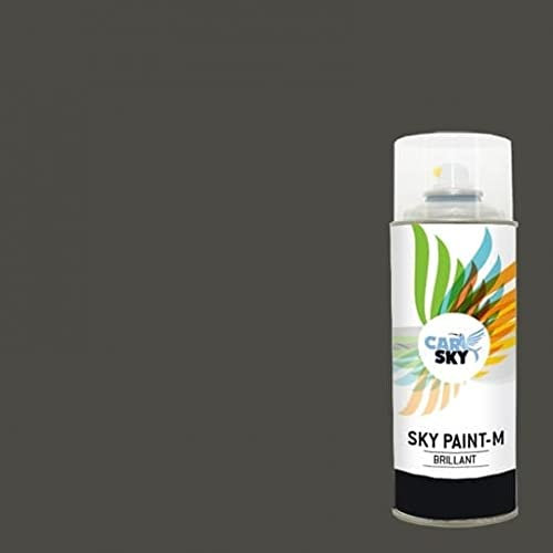 CARSKY Bombe de peinture RAL Gris Terre D'Ombre 7022 finition brillante 400ml