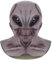 Cokbyavla Masken Halloween,Deadpool Maske Ghost Rider Maske Horror Bärenmaske Deadpool Kostüm Ghost Cod Cosplay