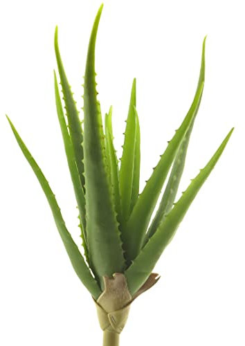 mucplants Künstliche Aloe Vera 41cm Real-Touch Aloevera Stecker Stab Kunstpflanze Zimmerpflanze