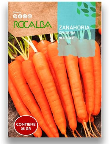 Semillas Zanahoria Variedad Nantesa 2 | Sobre 25 GR | Cultiva tus semillas de Zanahorias de gran calibre y sabor en tu propio huerto durante todo el año | Rocalba