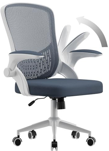 naspaluro Ergonomischer Bürostuhl, Schreibtischstuhl mit 90° Klappbaren Armlehnen, Einzigartige Lendenwirbelstütze, Atmungsaktive Mesh-Polsterung für das Heimbüro, Studie, Dunkelgrau