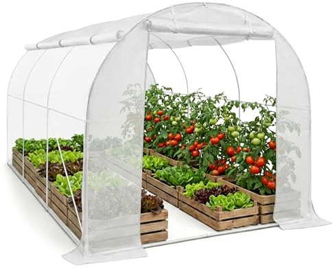AKORD Serre Tunnel de Jardin 6m², Bâche PE Renforcée avec Filtre UV et Structure en Acier Galvanisé, 1 Porte et 6 Fenêtres, 200x300x200 cm, Blanc