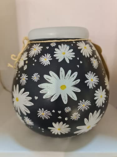 Daisy pot of dreams, smash for cash, great gift for any occasion