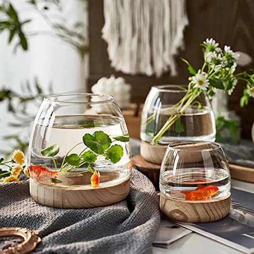 NLDGR Aquarium de bureau transparent en verre pour fleurs, plantes, petit aquarium avec support en bois pour poissons, terrarium, maison, bureau, décoration, cadeaux, XL