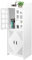 Youyijia 2 Tier Bathroom Storage Cabinet Floor Standing Display Cabinet Home Storage Furniture Organizer Unit Up and Down Door for Office Living Room Kitchen Entryway White 75 * 30 * 22CM
