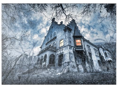 MyPuzzle Lost Places - Altes verwunschenes verlassenes Haus - Premium 500 Teile Puzzle - MyPuzzle Sonderkollektion von Puzzle Galaxy