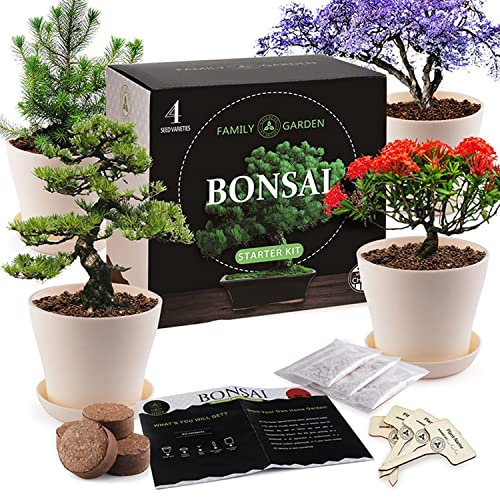 MissFox Bonsai Starter Kit Bonsai Anzuchtset für Anfänger - Inklusive Blumentopf mit Untersetzer, Pflanzenschilder, Anzuchterde - Nachhaltiges Geschenkset - Garten Geschenke für Kinder Erwachsene
