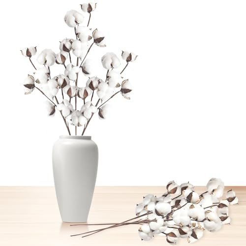 SEHAUSEU Baumwolle Zweig 6 Stück Baumwollblüten Natürliche Getrocknete Blumen Künstliche Dekoblumen Weiss Kunstblumen Trockenblumen für Vasen Hochzeit Zimmer Party Deko