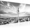 Runa Art Wandbild Berlin Fernsehturm 1 Teilig 100 x 40 cm Modern Bild auf Vlies Leinwand Städte Wohnzimmer Büro Schwarz Weiss 015912c