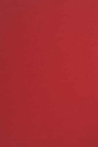 Netuno 10x Tonkarton Rot DIN A4 21 x 29,7 cm 170g Sirio Color Lampone Feinkarton farbig Bastelkarton bedruckbar Tonpapier Kreativkarton Schule basteln bedrucken Dekoration Karten Weihnachten