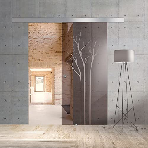BOSS Porta Scorrevole in vetro modello PEACE 80x215 cm (60/80/90 cm) 8 mm, vetro Bronzo, Nano rivestito incolore, kit hardware complete (80x215 cm, DESTRA)