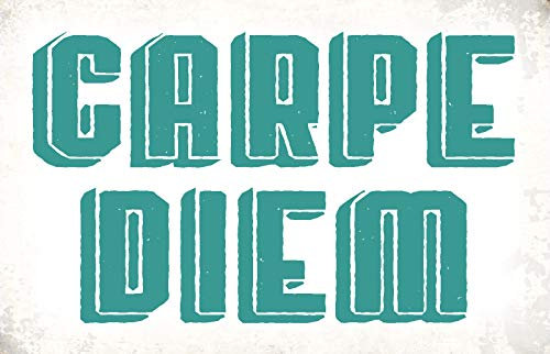 Ontrada Blechschild 30x40cm gewölbt Carpe Diem Spruch Sprüche Schild