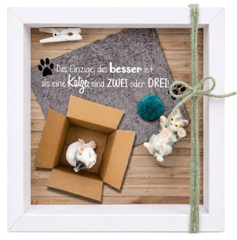 ZauberDeko Geldgeschenk Verpackung Katzen Zuschuss Geld Haustier Gutschein Tierbedarf Geburtstag