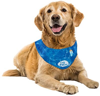 ALL FOR PAWS Cooling Dog Bandana, Ice Bandana, Blue, XL
