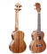 Ukulele 23 Professionelle Ukulele Concerto Laminierte Mahagoni-Hals-Ukulele-Konzertgitarre Mit 4 Nylonsaiten