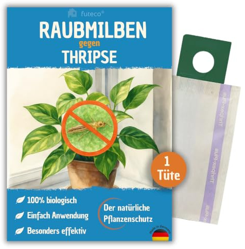 Futeco® – Raubmilben gegen Thripse bei Gemüse-, Zier- & Nutzpflanzen - 1 Tüte für 1-2 Pflanzen - zur biologischen Bekämpfung von Thripsen - 100% Chemiefrei & Natürlich - Amblyseius Cucumeris