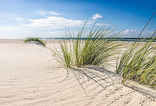 VLIES Fototapete-STRAND-(PF4620)-Dünen Sand Meer See Gras Nordsee Ostsee Sylt Steg Urlaub Wandbild Wandtattoo Poster Dekoration