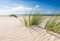 VLIES Fototapete-STRAND-(PF4620)-Dünen Sand Meer See Gras Nordsee Ostsee Sylt Steg Urlaub Wandbild Wandtattoo Poster Dekoration