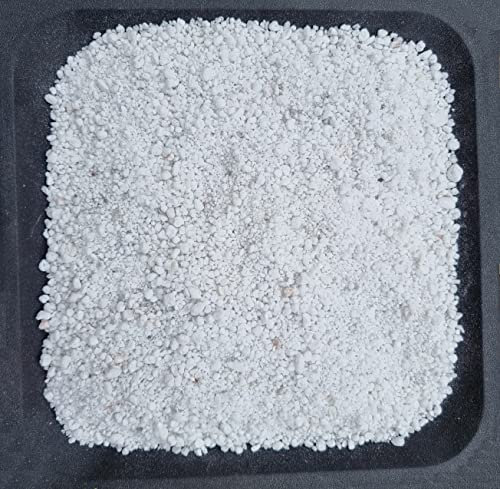 AlmaStore Perlite per Piante in vaso | 3 Litri, 5 Litri, 10 Litri | Agriperlite per Piante Grasse Orchidee Pianta Carnivore Talee | Substrato da Giardino Orto (3 Litri)
