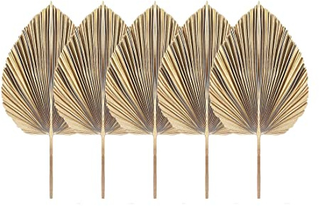 Yangyou Lot de 5 feuilles de palmier séchées naturelles coupées à la main, magnifiques éventails de palmier tropical pour décoration bohème, mariages et cuisine