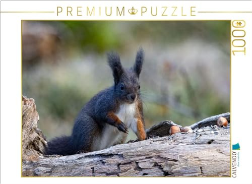 Puzzle · EIN Motiv aus dem Kalender Oachkatzl | Neugieriges Eichhörnchen oder auch auf bayrisch Oachkatzl · 1000 Teile · Lege-Größe 64 × 48 cm · CALVENDO Puzzle