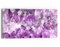 DEQORI Glasbild Echtglas | Motiv Violette Pracht | horizontal einteilig 60x30 cm | schöne Dekoration | Wandbild für Wohnzimmer, Schlafzimmer, Flur & Küche | moderne Wanddeko