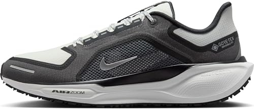 Nike Straßenlaufschuh Pegasus 41 Gore-Tex Wasserdichter Straßenlaufschuh Für Herren, Black/Summit White-Anthracite-Iron Grey, FQ1356-002, 47.5 EU (13 US)