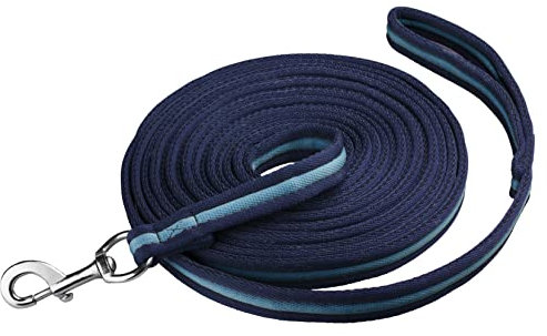 Start Longierleine für Reitsport – Pferdelonge 8 m aus Nylon – Softlonge mit Handschlaufe & Karabiner – rutschfeste Longe für Pferd – Robuste Longierleine für Training (Navy/Himmel)