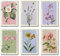 BATWHO Blumen-Poster August Lavendel Haze Long Live THE1 You're on Your Own, Kinder-Poster-Leinwand-Set, ungerahmt, 6-teiliges Leinwandposter (20,3 x 30,5 cm)