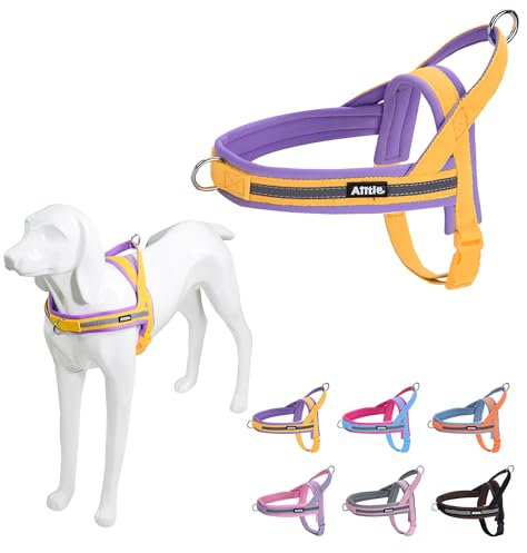 AIITLE No Pull Hundegeschirr für kleine Hunde, weiches Haustier-Westengeschirr, Brustumfang verstellbar, Reflektorstreifen, ausbruchsicheres Hundegeschirr für kleine Hunde, Gelb-Lila, S