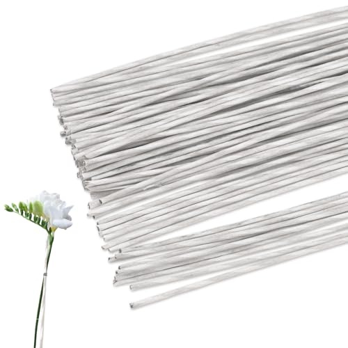 80 Pieces 3 mm 8 Gauge Floral Wire Stems, 11.8 White Artificial Flower Stems Rod, Iron Florist Wire Sticks for Crochet Paper Flowers Arrangement Crafts Wreath Making Supplies (White)
