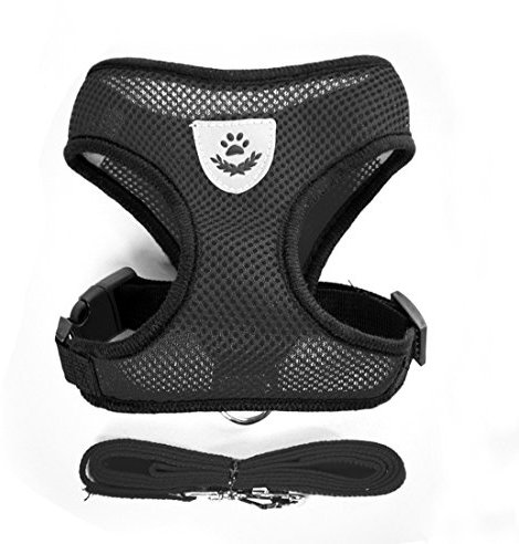 feiling Air Mesh Hundegeschirr Atmungsaktiv Welpengeschirr für Klein Hunde Vest Harness Brustgeschirre Haustier Softgeschirr mit 1,1M Hundeleine Führleine Schleppleine (S, schwarz)