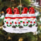 iDIY Personalisierte Weihnachtsdeko Familie - Personalisierte Weihnachtskugeln Names, Christbaumkugeln Selber Gestalten, 4 Zwerges