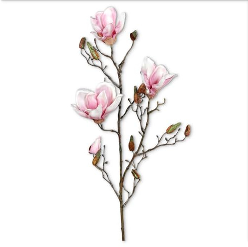 matches21 HOME & HOBBY Kunstblumen Magnolienzweig, 87 cm in cremepink als Frühlingsdeko - Künstlicher Zweig aus Kunststoff