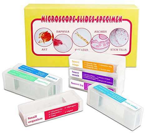 Bysameyee 35PCS Prepared Microscope Slides with 7 Types Specimens, Insect/Plant Glass Sample Slide for Kids Adults Family Preschool Education Scientific Enlightenment