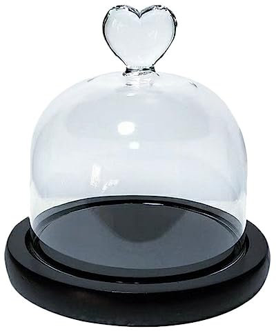 UPKOCH Verre Clair avec Base Cloche Vitrine de Table Antique Cloche Pot Affichage pour Conservé Fleur Plantes Succulentes Fée Lumières Fête Des Mères